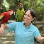 A Tour Roatan Created by You