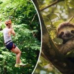 roatan zipline and monkey park