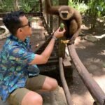 monkey and sloth hangout roatan