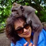 sloth and monkey excursion roatan