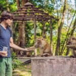 roatan bay islands honduras excursions