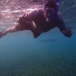 best place to snorkel in roatan