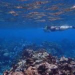 snorkeling near me Roatan