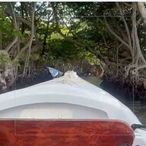 roatan boat tours