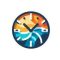 Tour duration: most excursions last 4 to 6 hours