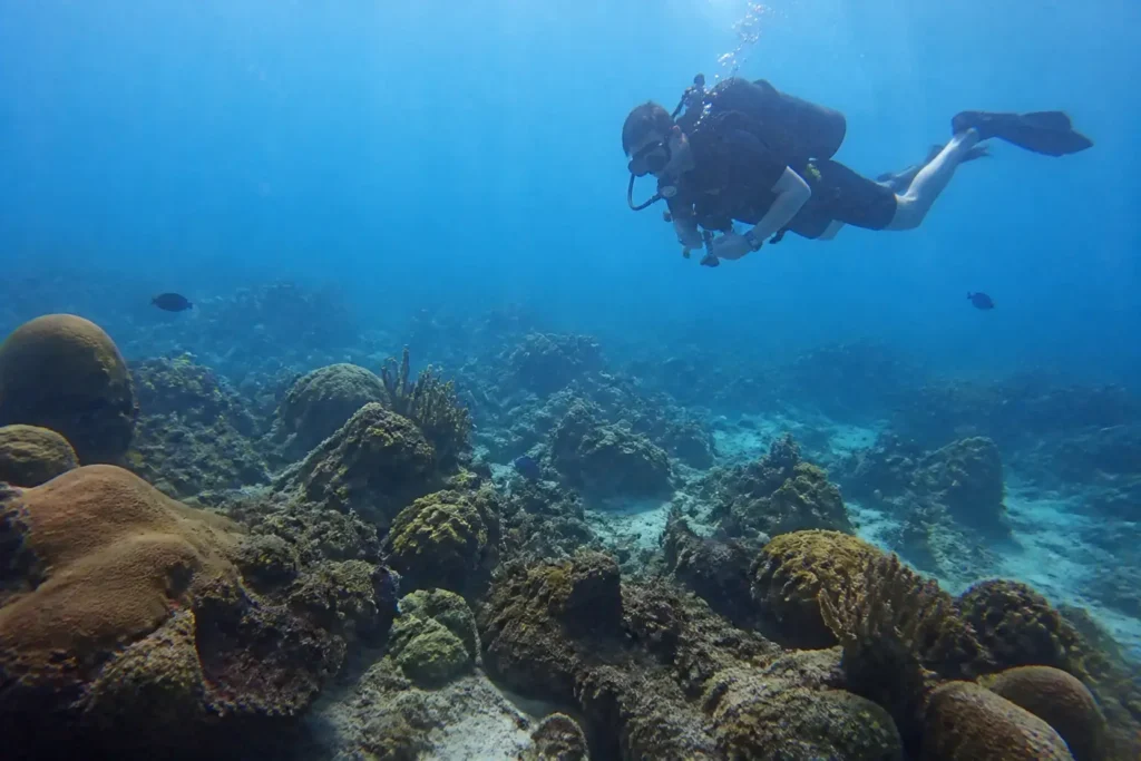 Scuba diver exploring a coral reef in Roatan