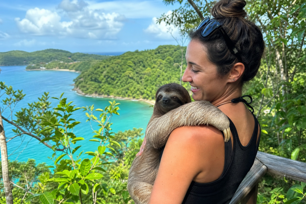 Roatan monkey and sloth excursion - Roatan, Honduras travel scene related to Visiting Monkeys and Sloths in Roatan: What Cruise Guests Should Expect